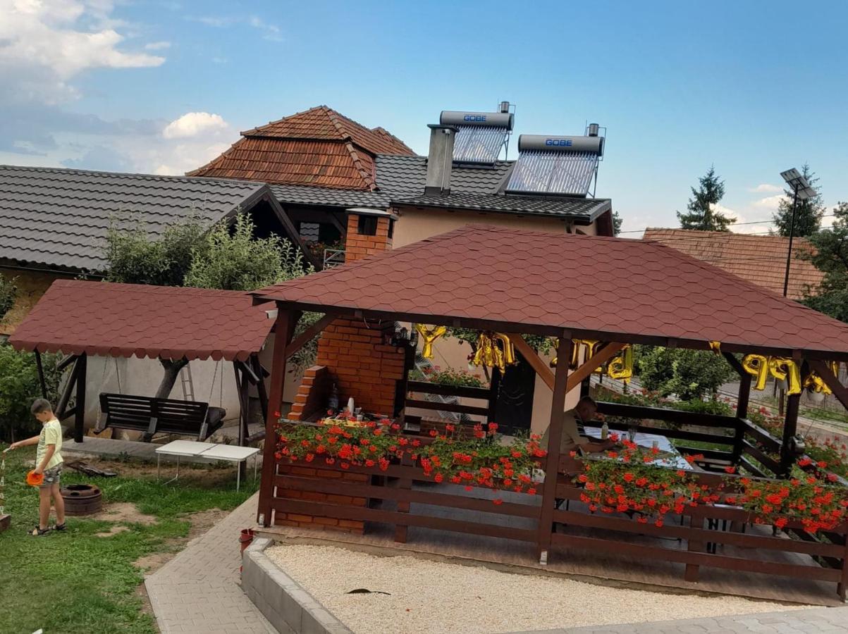 Hotel Casa Alex Topliţa Zewnętrze zdjęcie