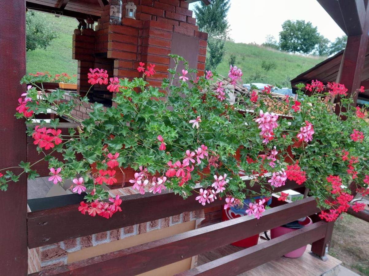 Hotel Casa Alex Topliţa Zewnętrze zdjęcie