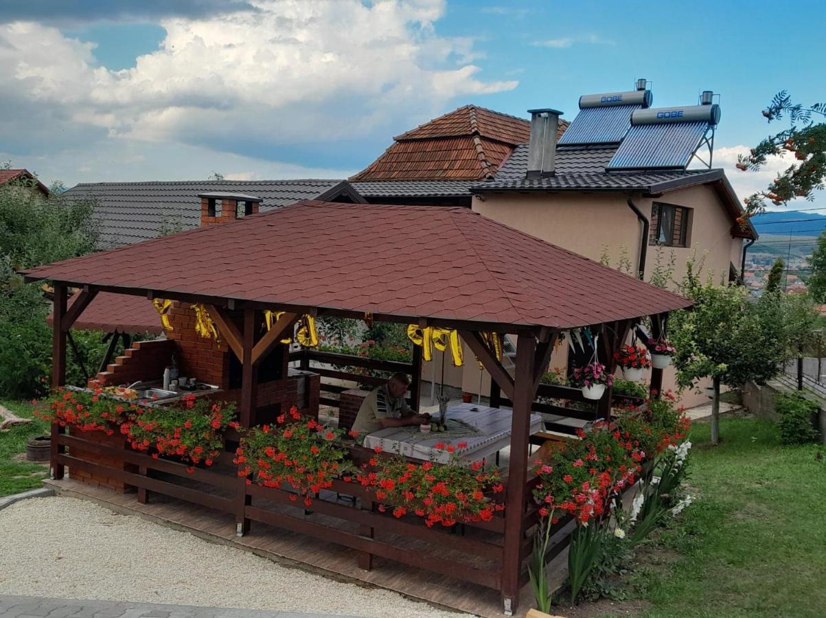 Hotel Casa Alex Topliţa Zewnętrze zdjęcie