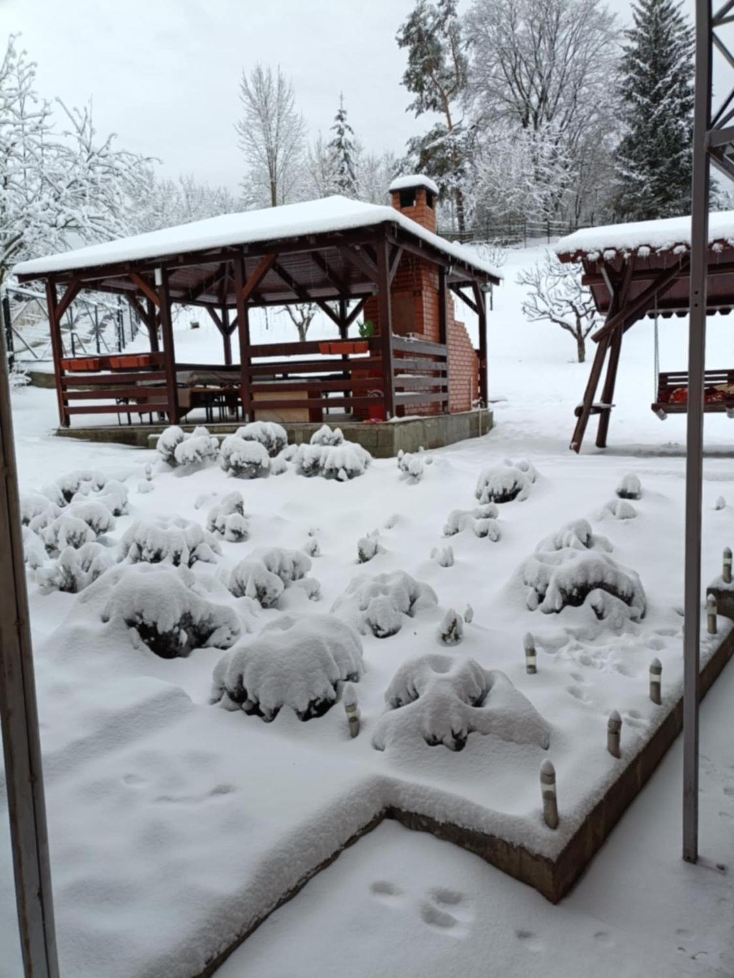 Hotel Casa Alex Topliţa Zewnętrze zdjęcie