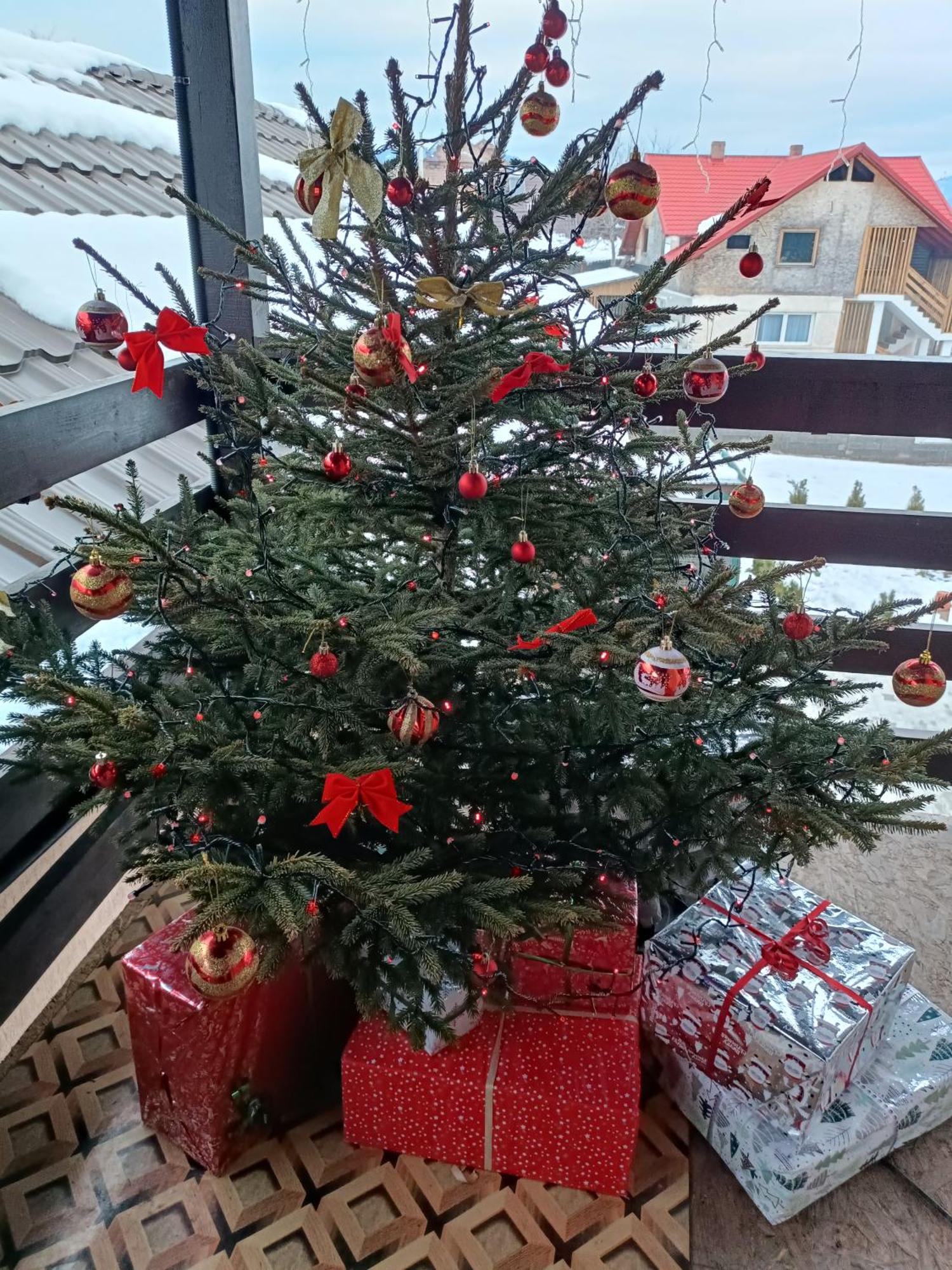 Hotel Casa Alex Topliţa Zewnętrze zdjęcie